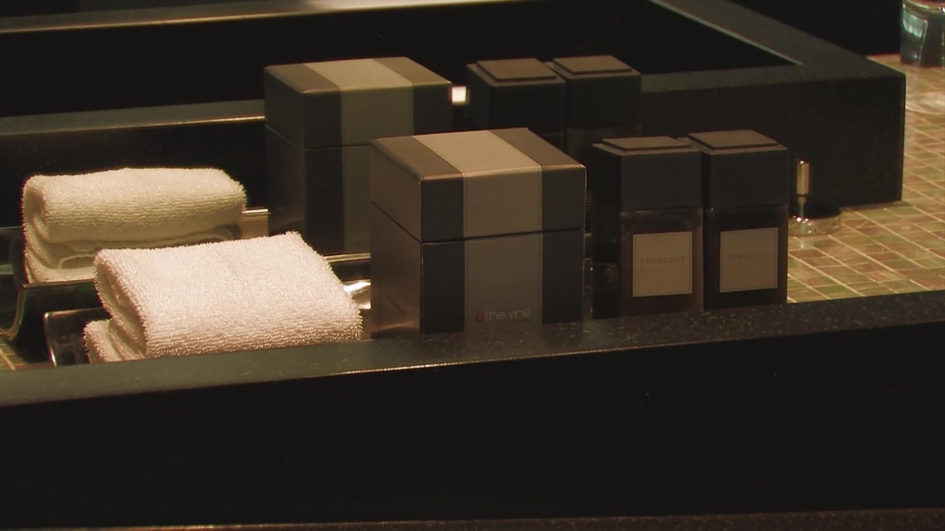 The Vine - снимка 8