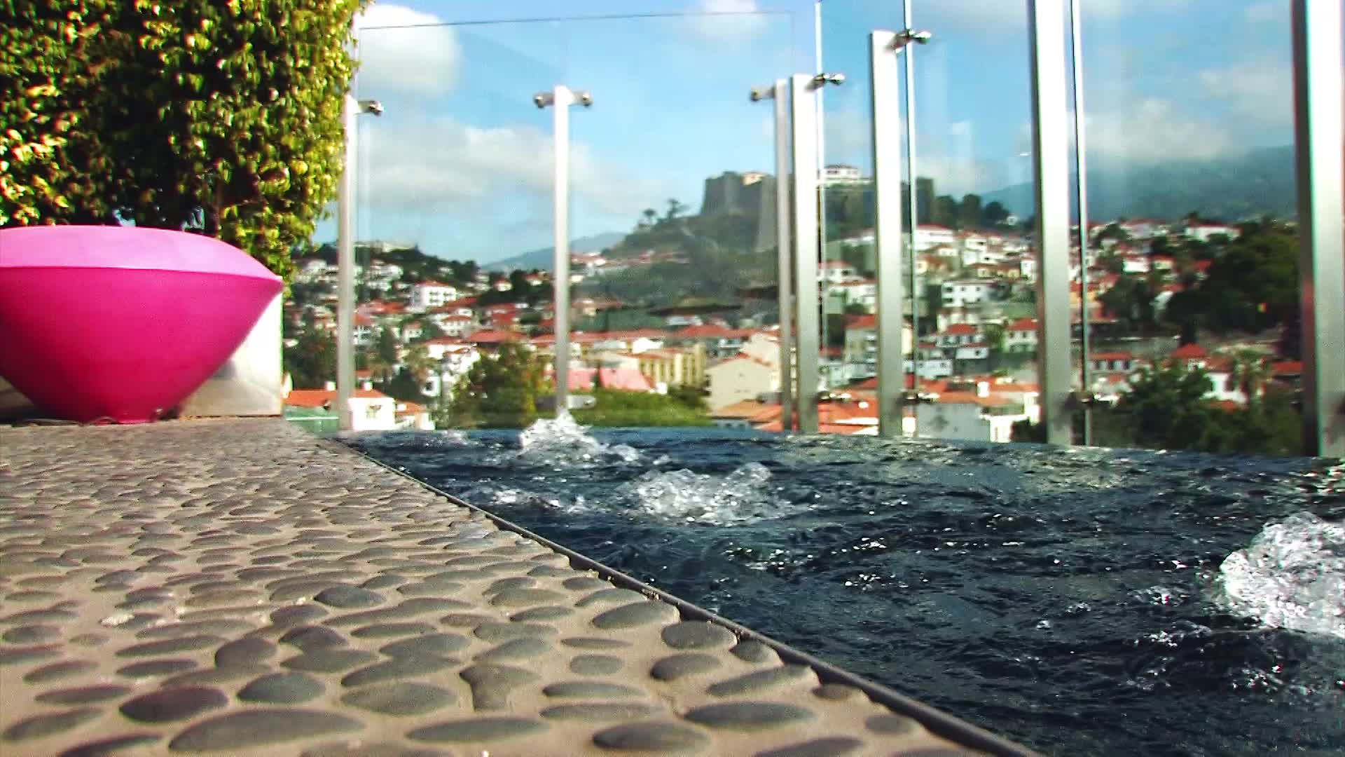 The Vine - снимка 1