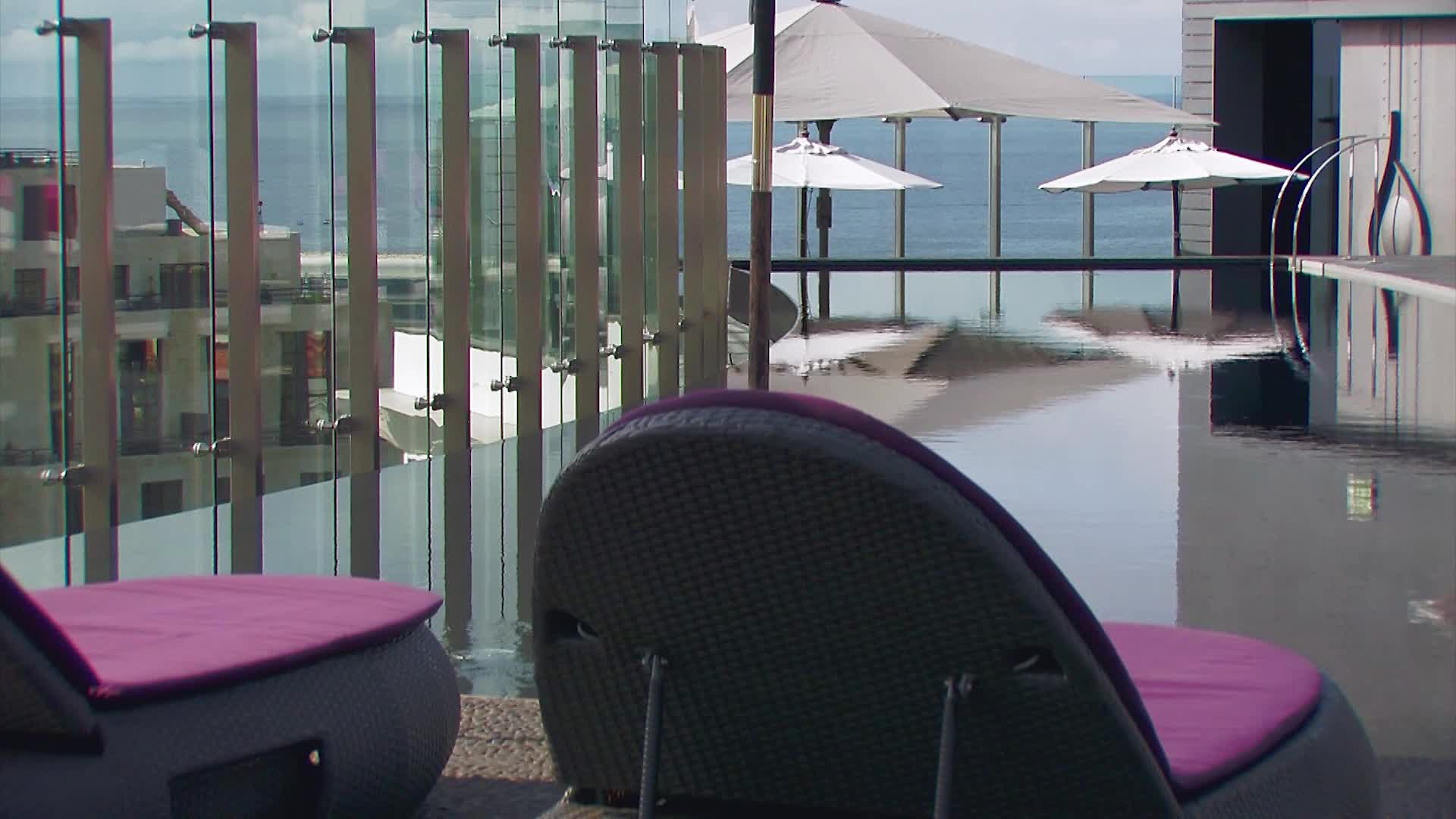 The Vine - снимка 2