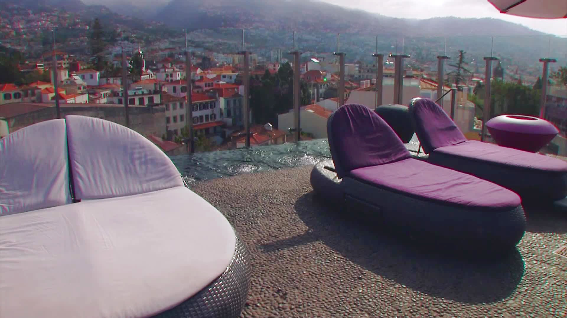 The Vine - снимка 3