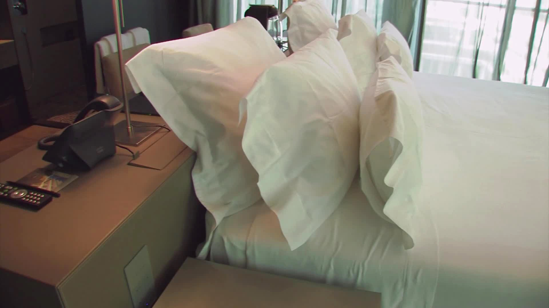 The Vine - снимка 5