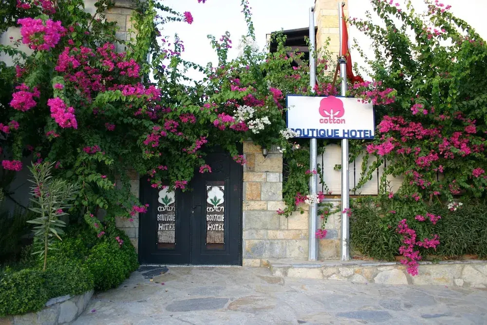 hotel-image